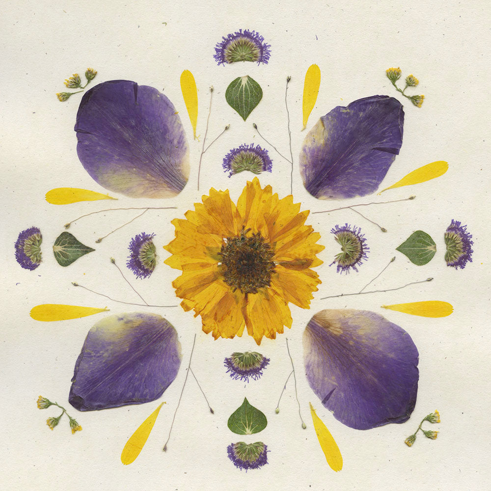 Coreopsis Mandala - Pressed Flower Print