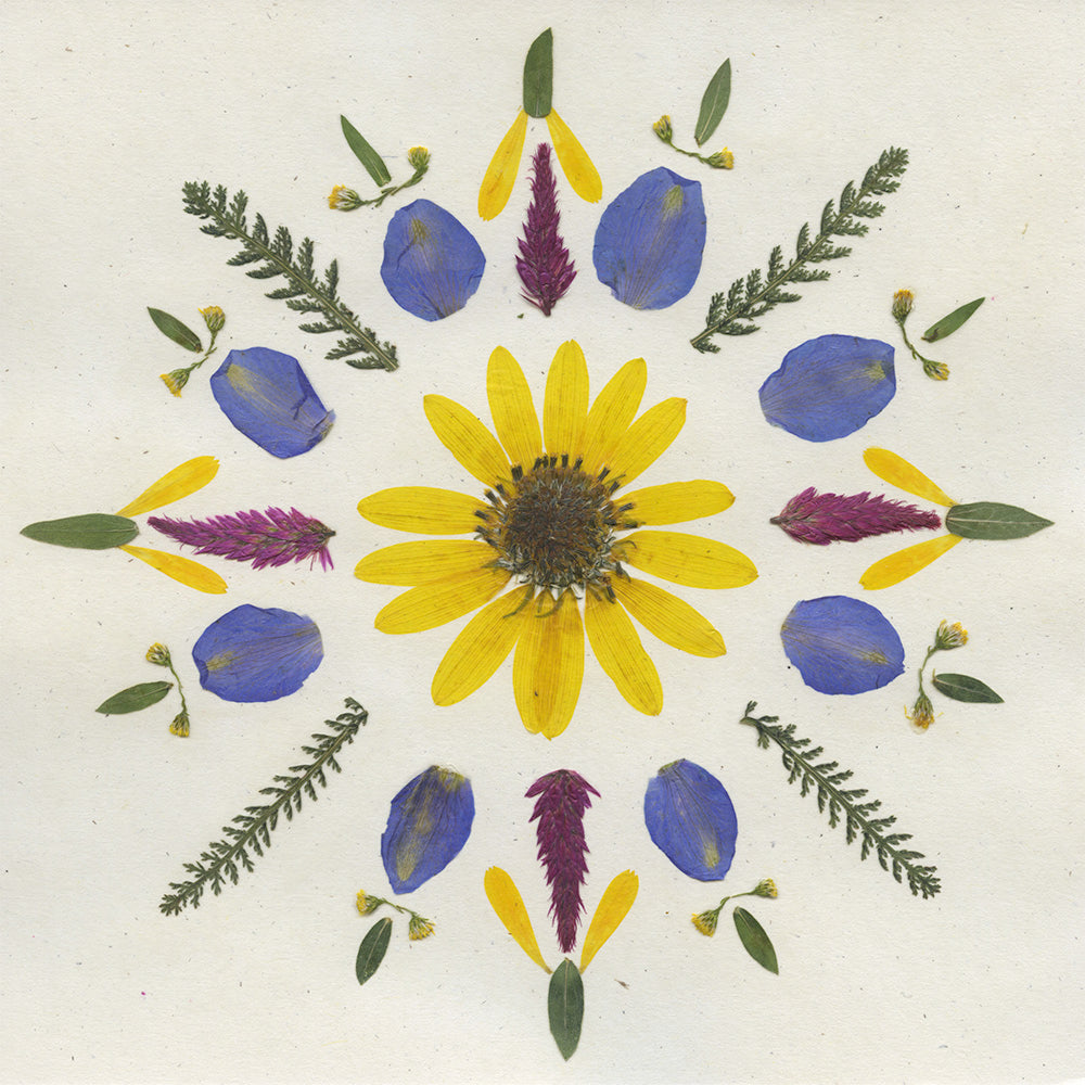 Delphinium Mandala - Pressed Flower Print