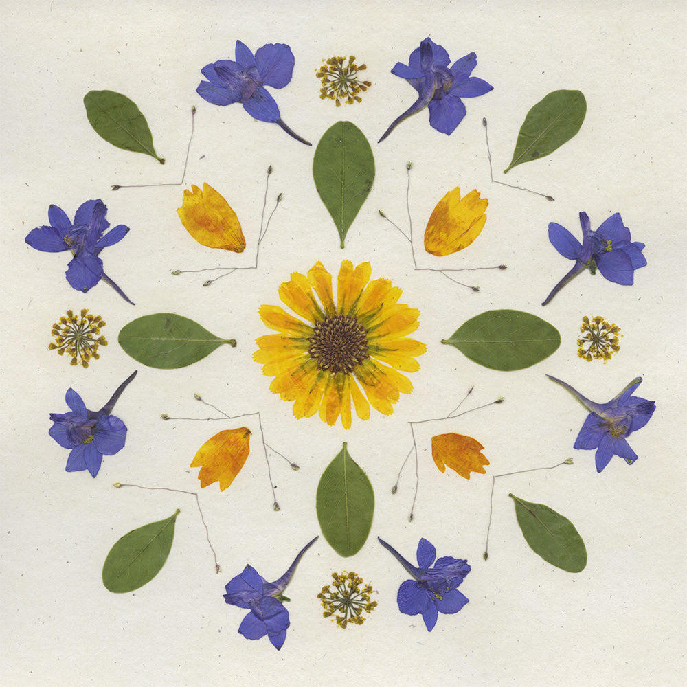 Larkspur Mandala - Pressed Flower Print